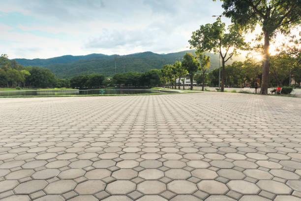 Best Driveway Paving Contractor  in Algoma, WI