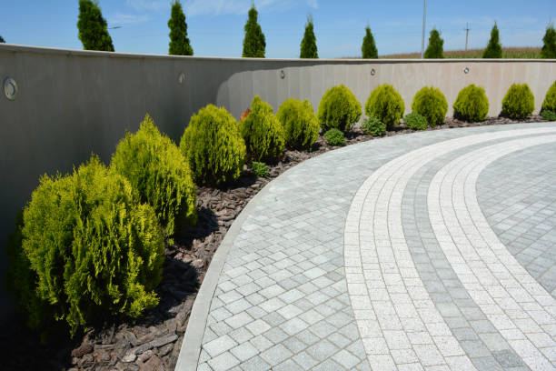 Best Custom Driveway Pavers  in Algoma, WI